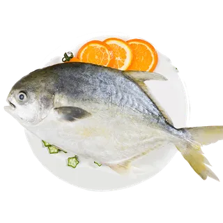 金鲳鱼海鲜超市商品红酒白底图免抠实物摄影png格式图片透明底