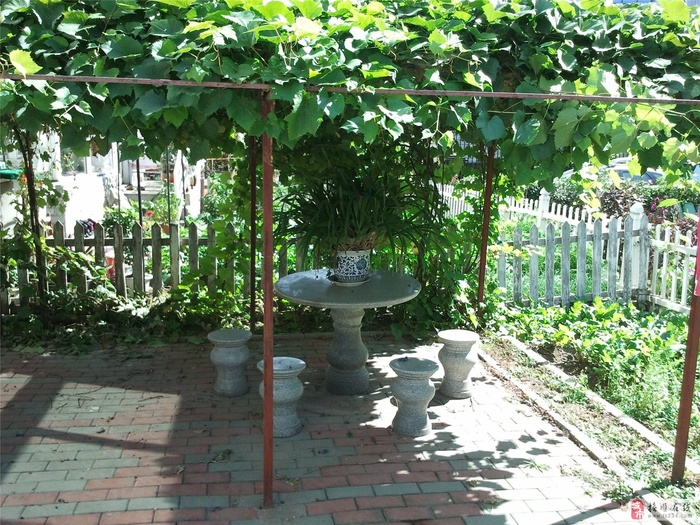 太阳伞 绿色草地 椰子树 茅草屋 椅子
