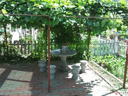 太阳伞 绿色草地 椰子树 茅草屋 椅子 太阳伞 绿色草地 椰子树 茅草屋 椅子