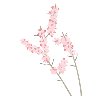 春天浪漫粉红色樱花手绘樱花梅花桃花花朵图片PNG免扣素材