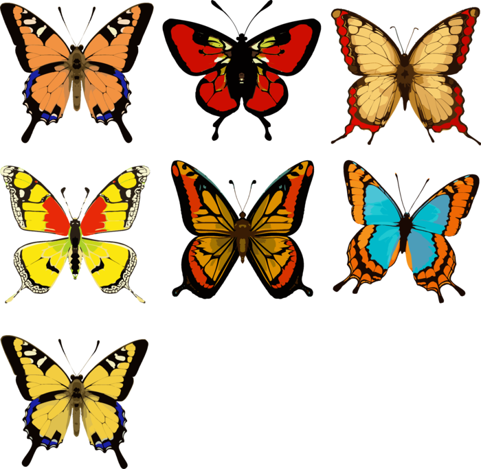 春天蝴蝶元素插画