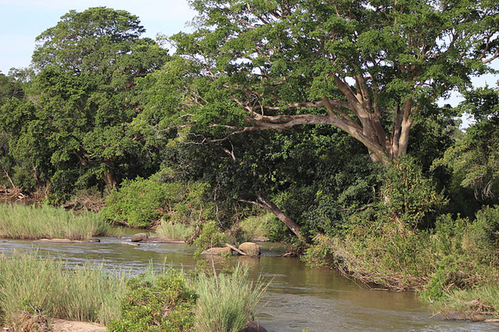 风景 天空 旅行美丽 (306)