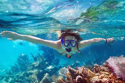 海里潜水的女性 海里潜水的女性