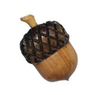 橡子 PNG 图像免抠