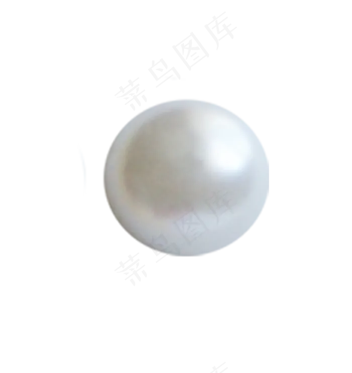 珍珠　　　