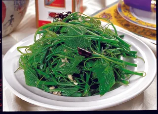 0911LCS-738炝拌南瓜苗