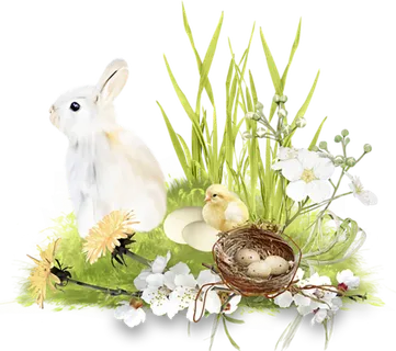 花丛兔子卡通