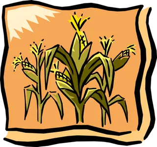 玉米画卡通简笔橘色