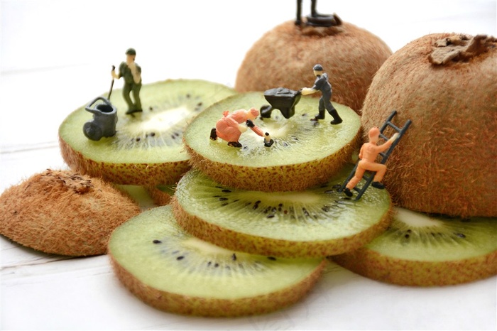 创意猕猴桃图片