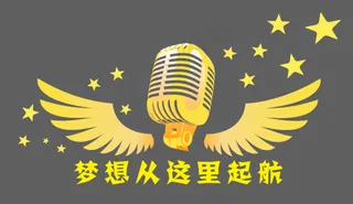 话筒金话筒翅膀