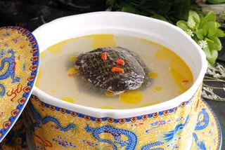 石锅煲类火锅川菜特色菜山珍甲鱼煲