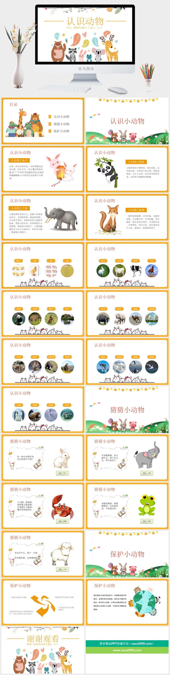 认识动物PPT课件模板