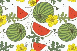 西瓜图案矢量背景