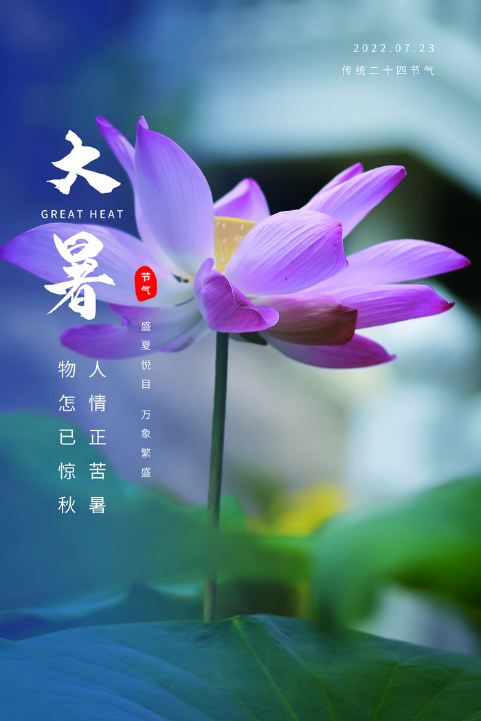 二十四节气处暑创意海报psd模版下载