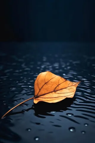 蓝色大气秋叶简约背景