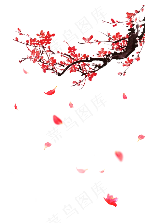 梅花寒冬飘落小花
