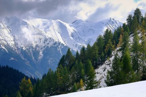 冬天自然背景风景