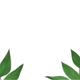 叶子绿叶花草免抠