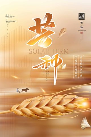 芒种 芒种营销设计