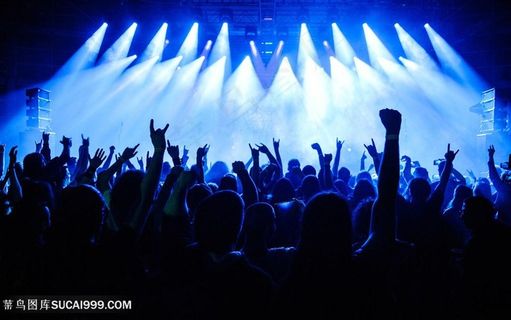 大型演唱会现场观众