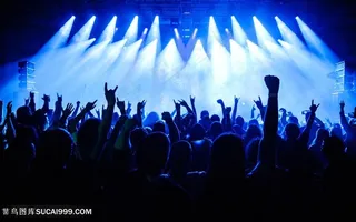 大型演唱会现场观众