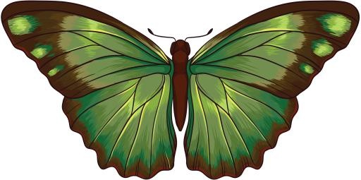 绿色蝴蝶 PNG免抠