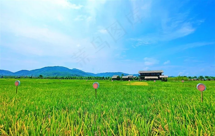 三亚水稻公园风景区