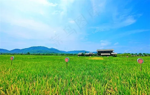 三亚水稻公园风景区 三亚水稻公园风景区