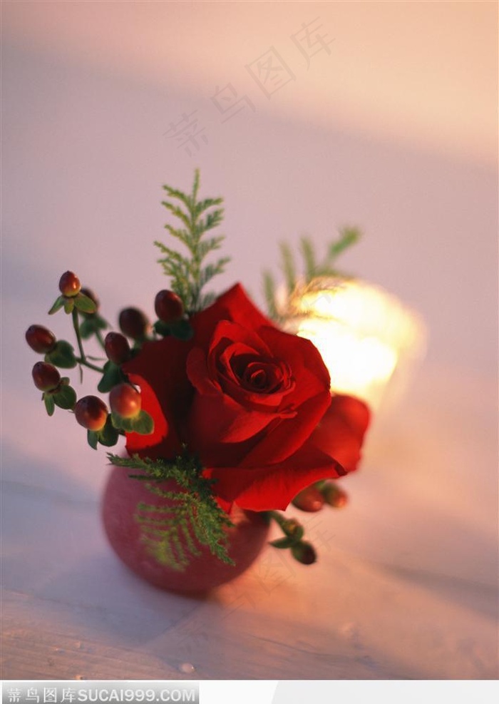 玫瑰花