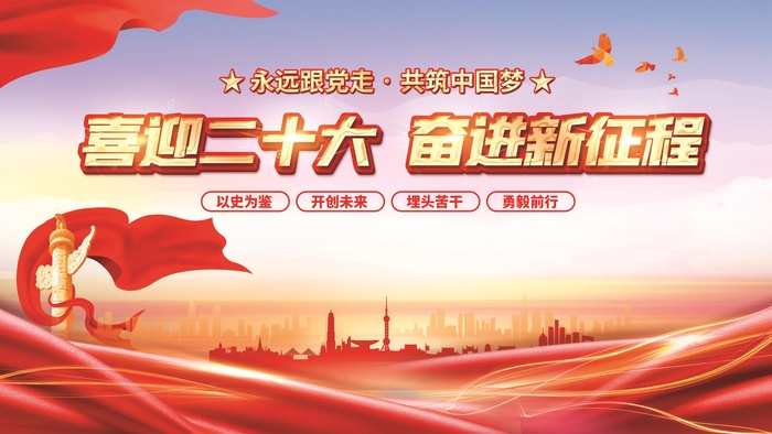 二十大展板