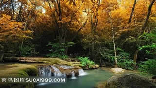 漂亮森林里的小瀑布