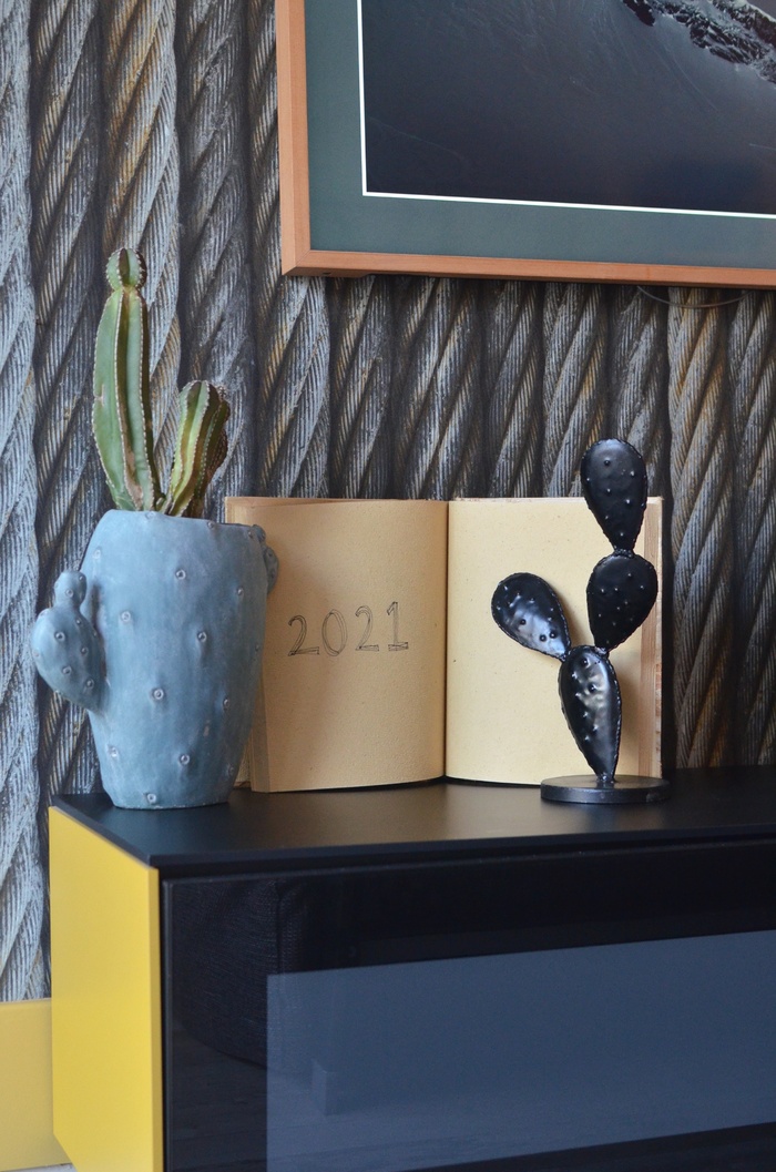 绿色仙人掌仙人球摄影素材