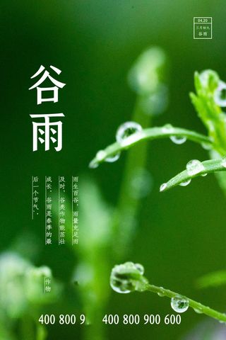 谷雨海报二十四节气谷雨广告