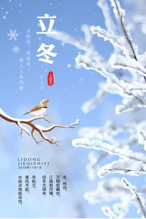 二十四节气立冬立冬冬季海报冬天