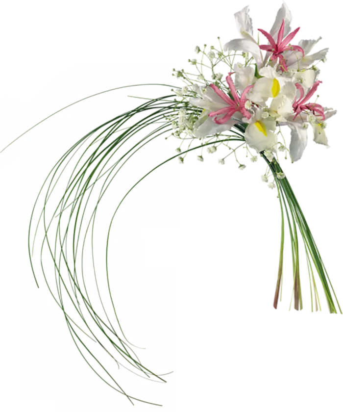 花束卡通简笔