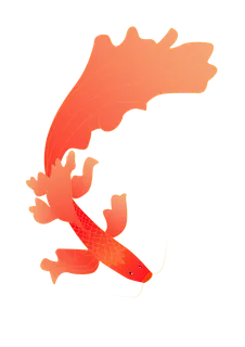 红色锦鲤简约画册免抠插画