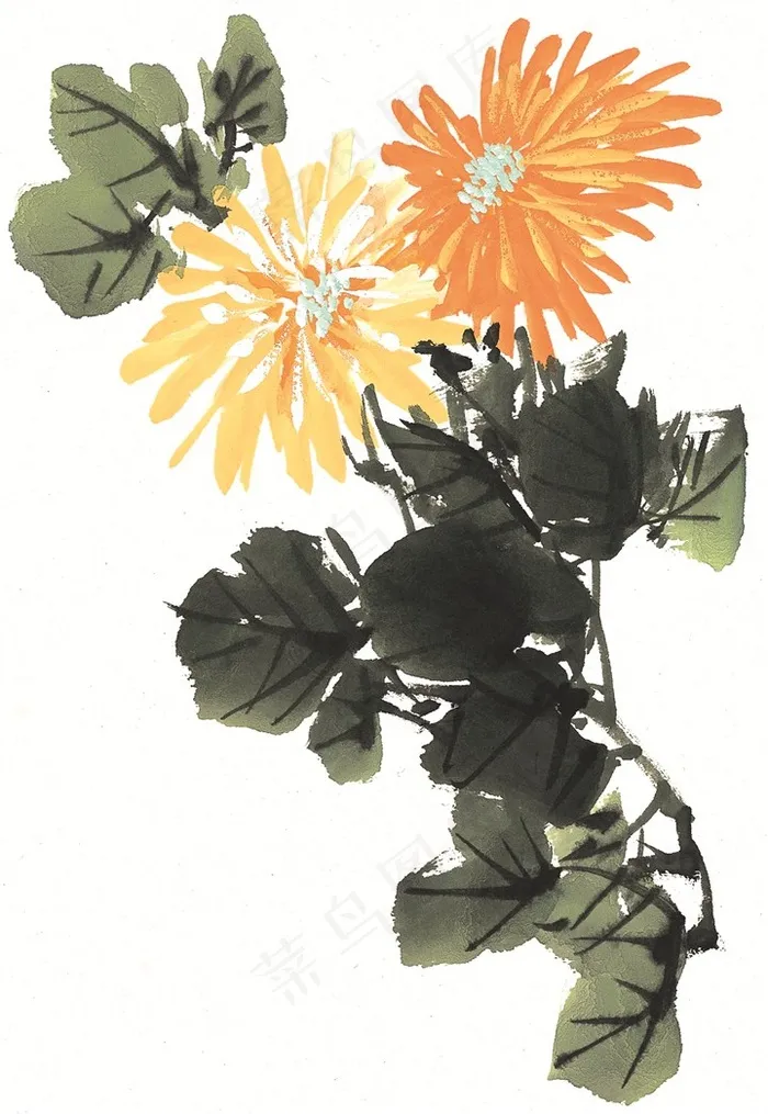 花卉大图美图素材