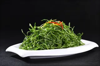 L00923爽口草尖 (2)