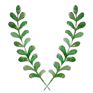 唯美森系手绘水彩花朵 免抠