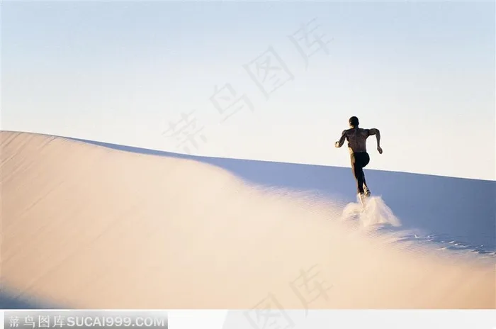 跑的尘土扬扬