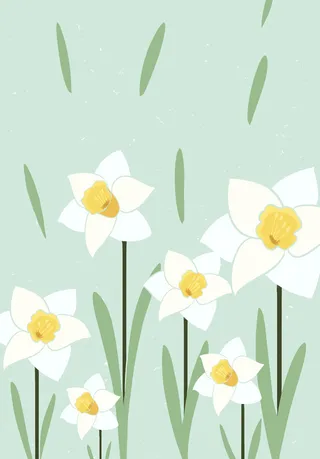 简约创意花卉清新水仙海报插画