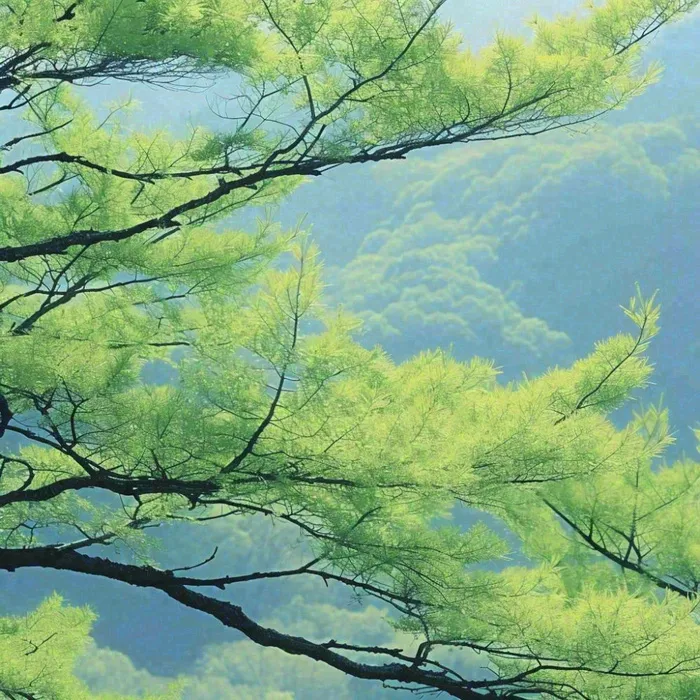 绿色的树冠特写(1024x1024)