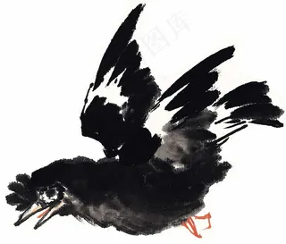 画鸟设计jpg素材