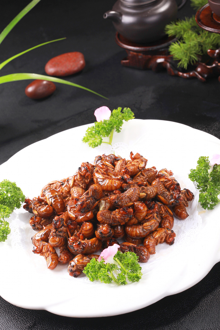香煎金蝉 (2)