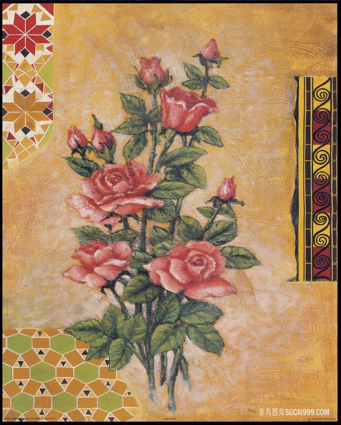 唯美植物花卉花枝插画