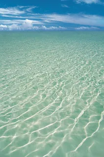 带波纹的海面摄影图片