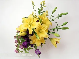 漂亮的黄色百合鲜花素材