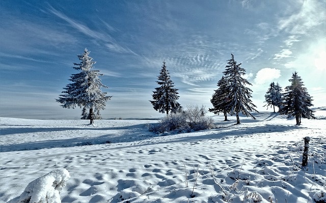 冬天白雪背景风景