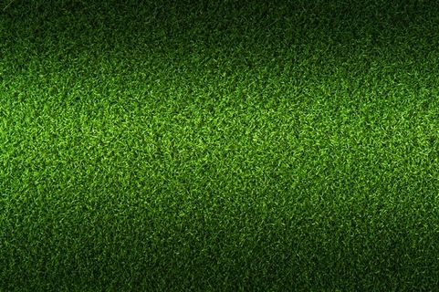 绿色草坪高清图片素材