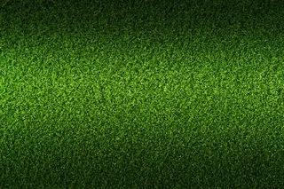 绿色草坪高清图片素材